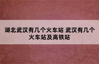 湖北武汉有几个火车站 武汉有几个火车站及高铁站